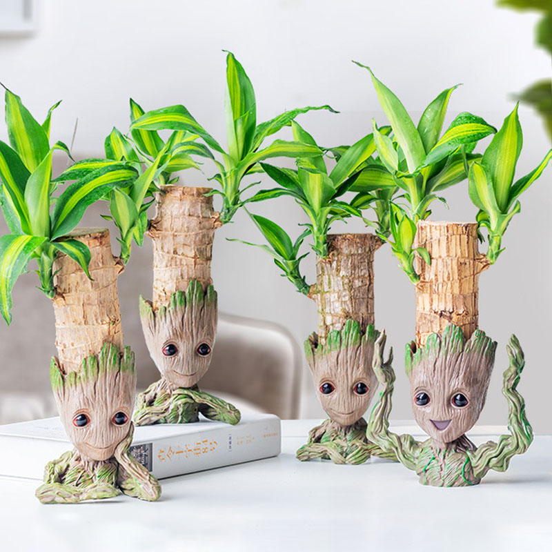 Modern Minimalist Vase Decorat - Plant Parents 评论和价格