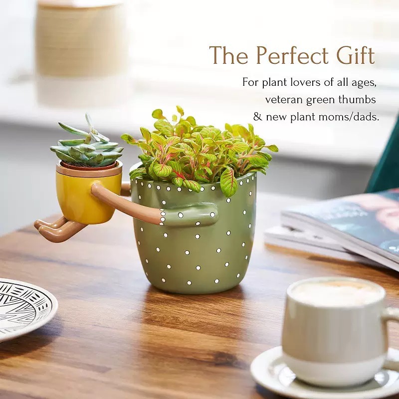 Resin Parent-child Flowerpot w - Plant Parent Pot 评论和价格