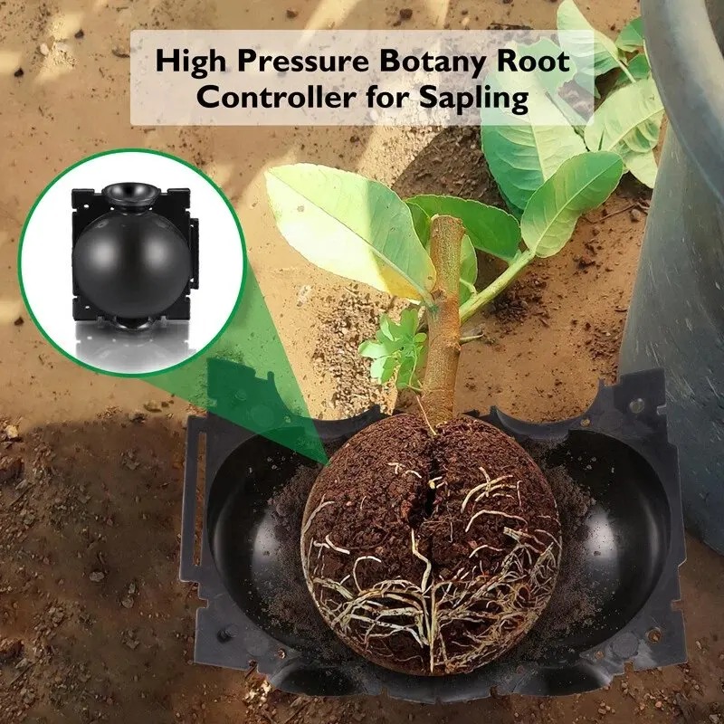 5/30Pcs Plant Rooting Ball Gra - Plant Parents 评论和价格