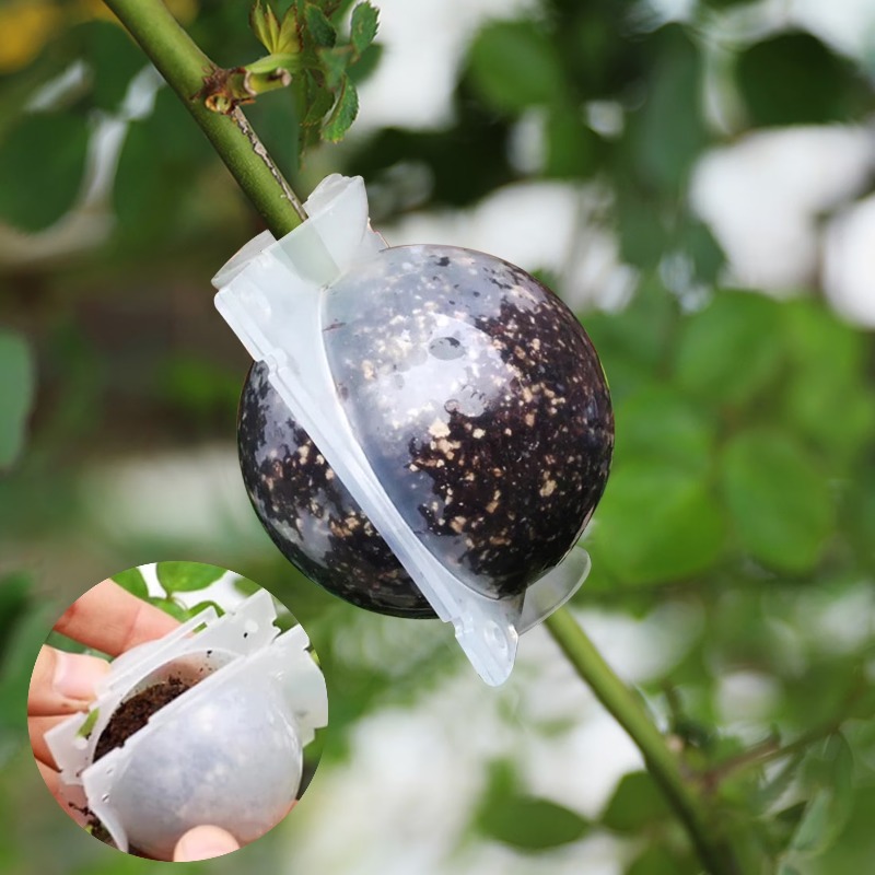 5/30Pcs Plant Rooting Ball Gra - Plant Parents 评论和价格