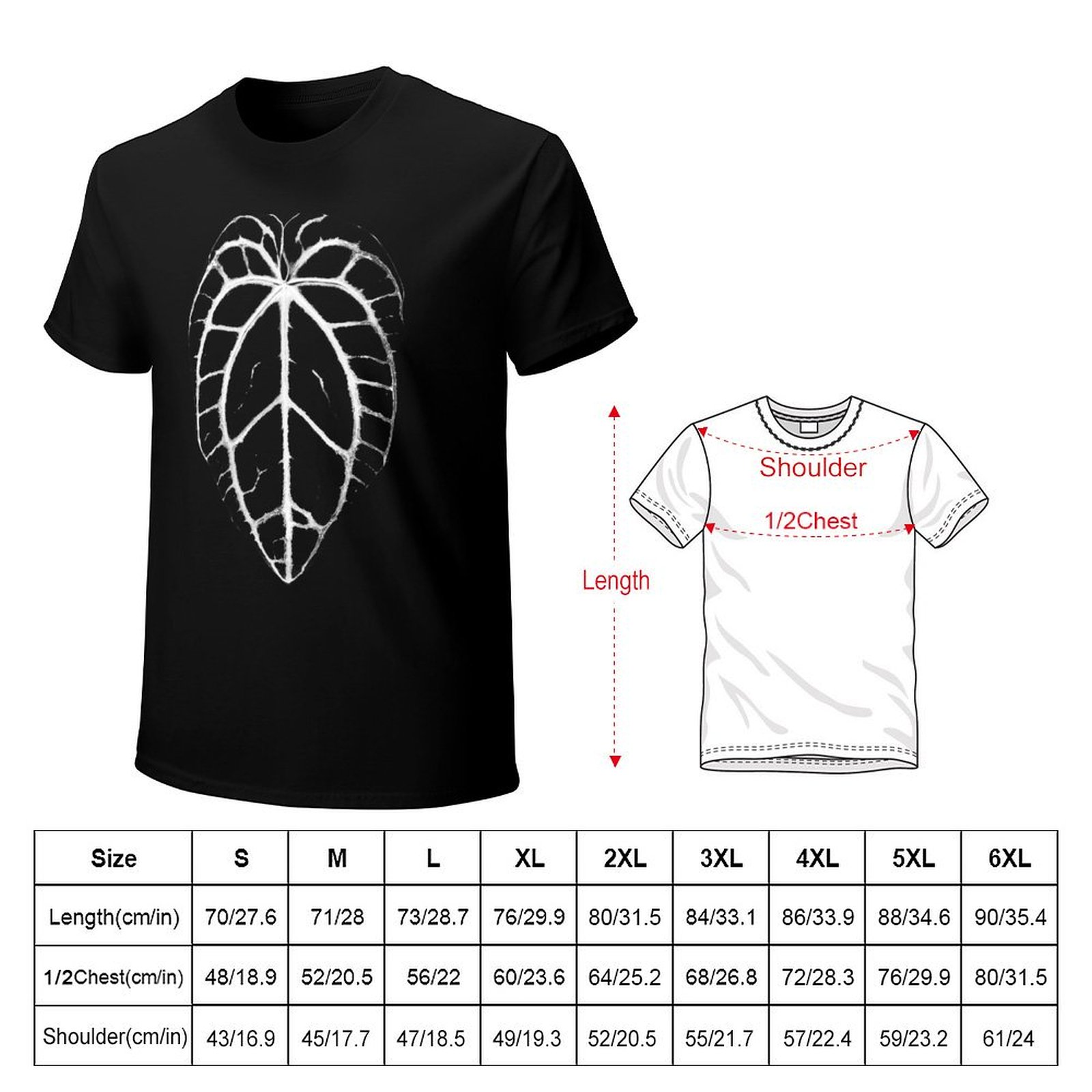 ANTHURIUM CRYSTALLINUM VEINS T - Anthurium Crystallinum 评论和价格