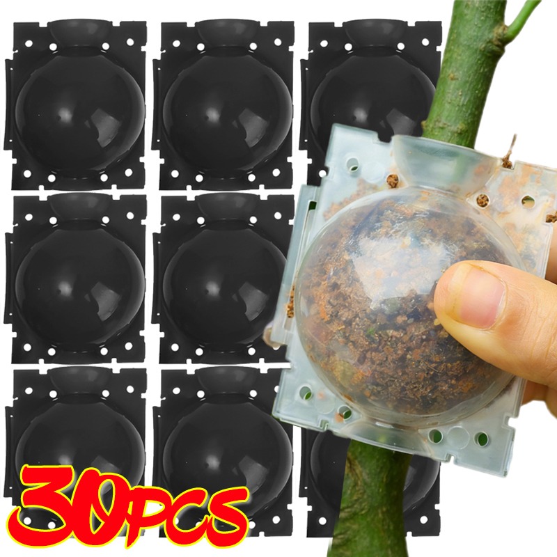 Reusable Plant Rooting Ball Gr - Plant Parents 评论和价格