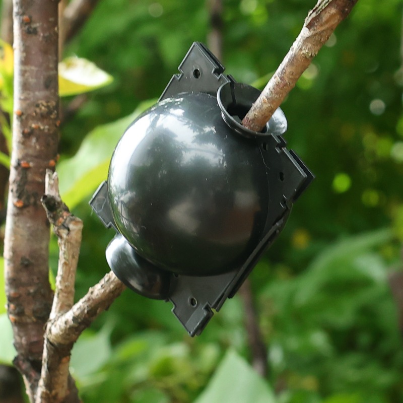 Reusable Plant Rooting Ball Gr - Plant Parents 评论和价格