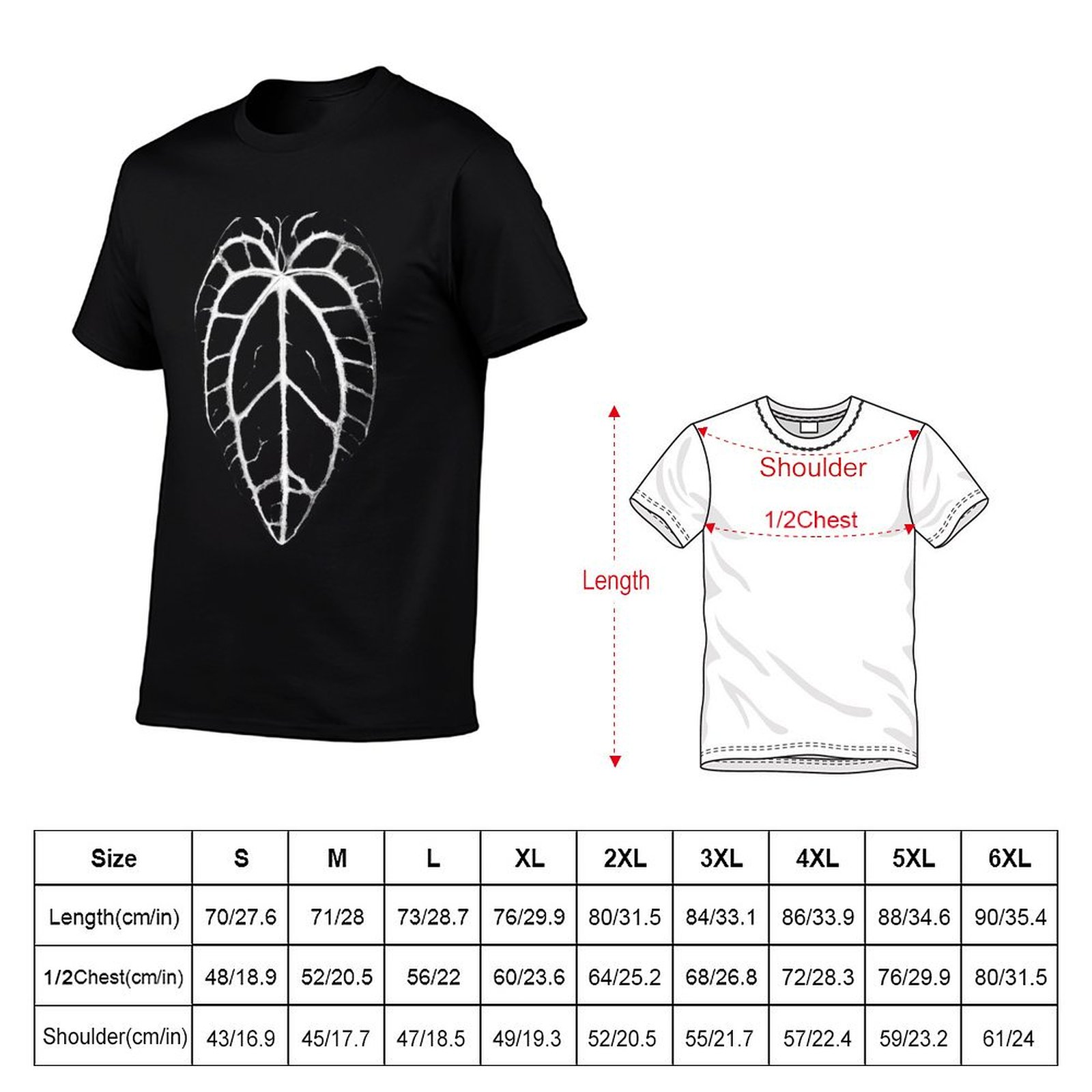 ANTHURIUM CRYSTALLINUM VEINS T - Anthurium Crystallinum 评论和价格