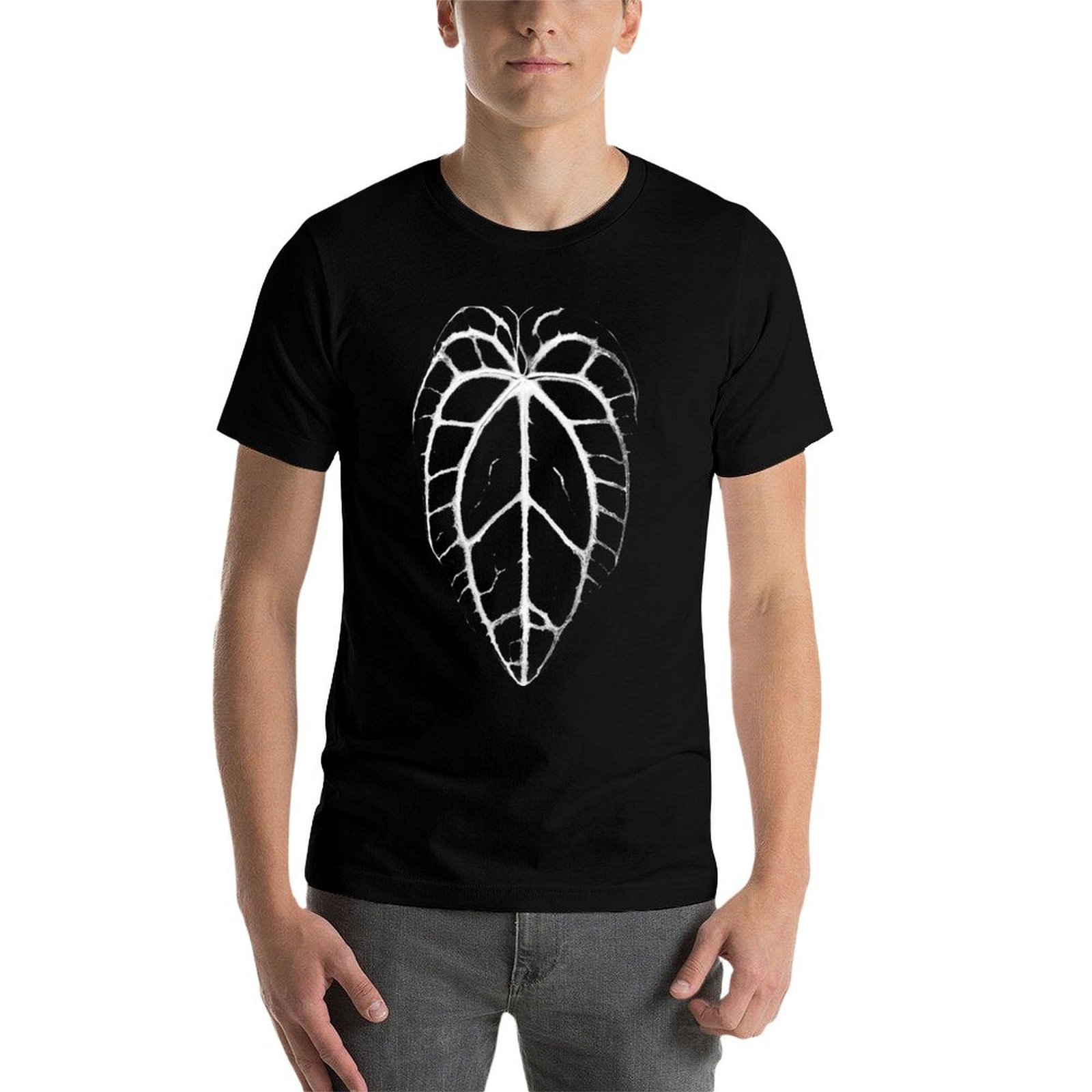 ANTHURIUM CRYSTALLINUM VEINS T - Anthurium Crystallinum 评论和价格