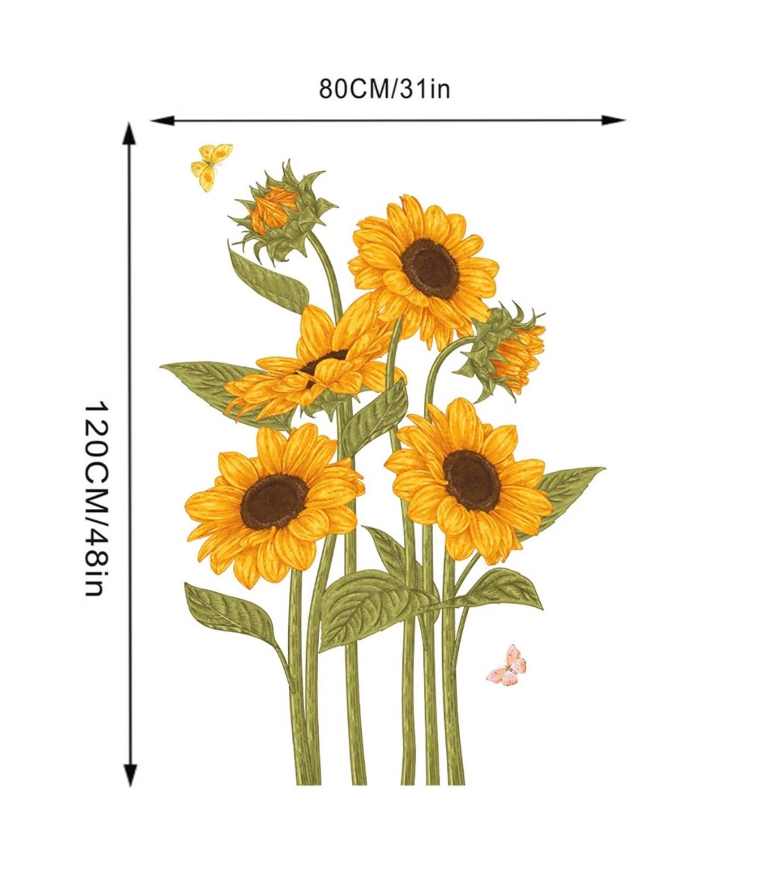 2 Pieces of Sunflower Butterfl - Monstera Thai Constellation 评论和价格
