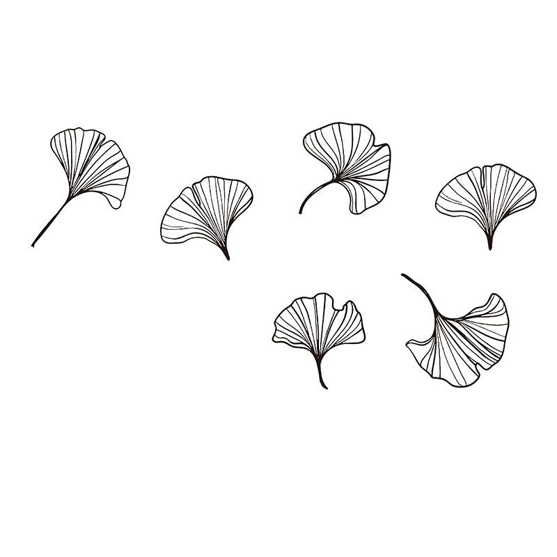 Large Pack of 6 Ginkgo Leaves  - Monstera Thai Constellation 评论和价格