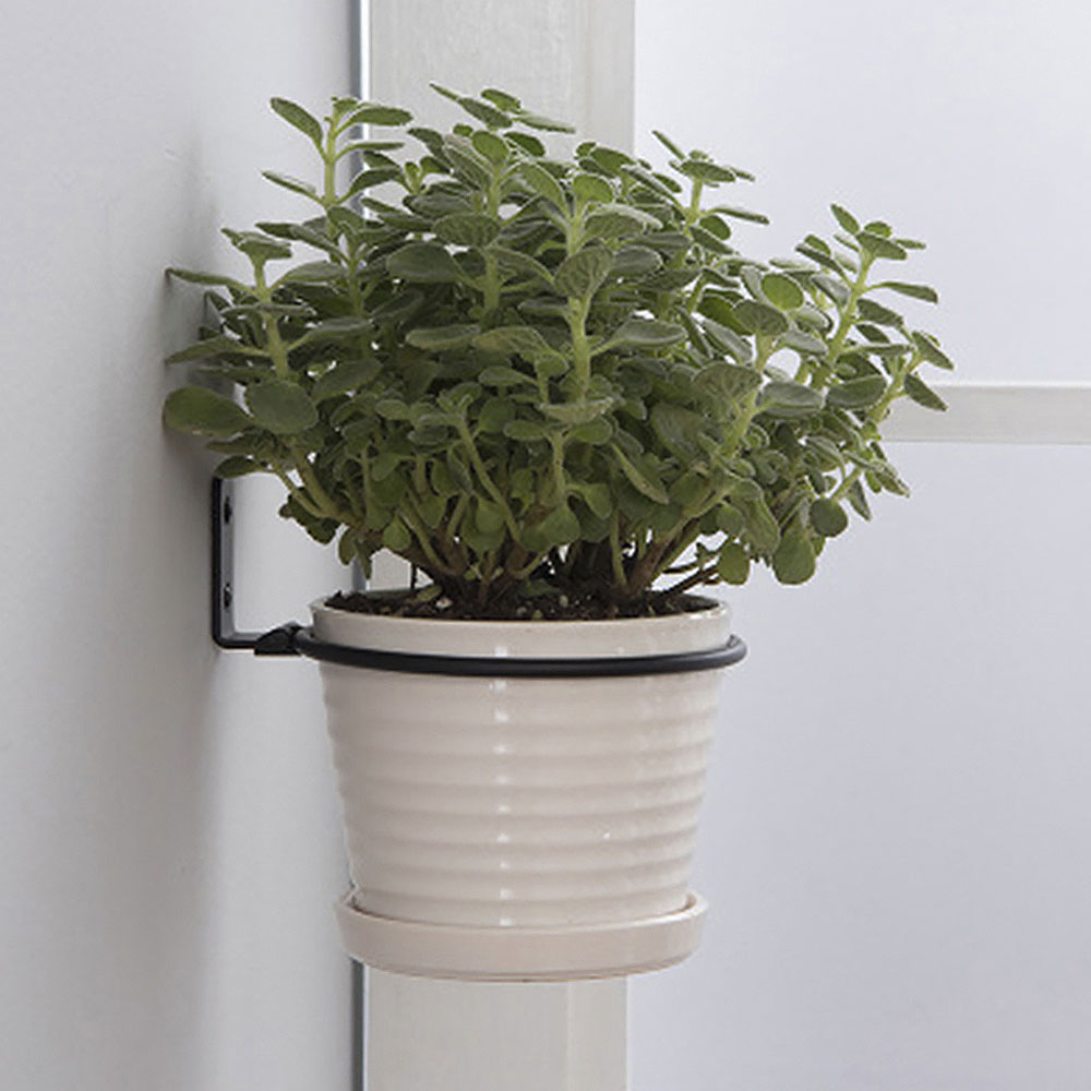Flower Pot Trays Wall Mounted  - Plant Parents 评论和价格