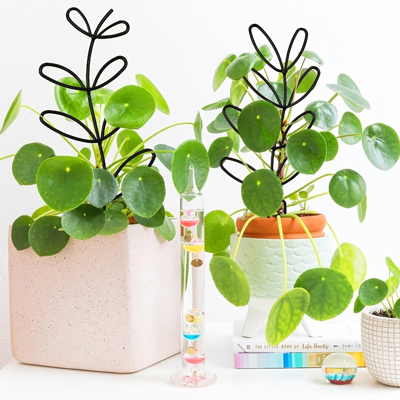 3Pcs Plant Support Frame Climb - Plant Parents 评论和价格