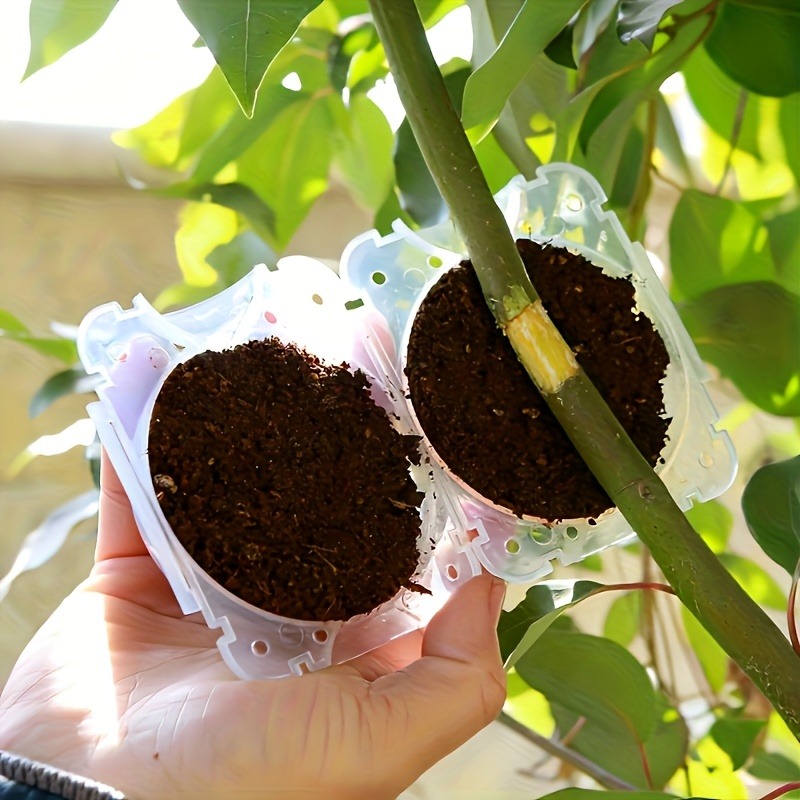 10pcs Plant Propagation Box Se - Plant Parents 评论和价格