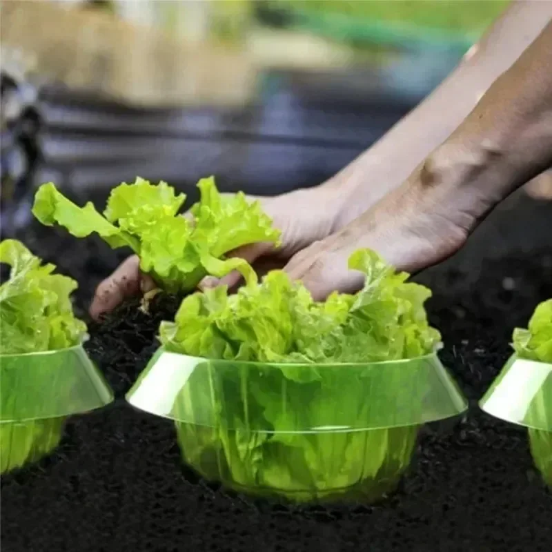 Plants Slug Protection Rings V - Plant Parents 评论和价格