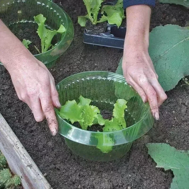 Plants Slug Protection Rings V - Plant Parents 评论和价格